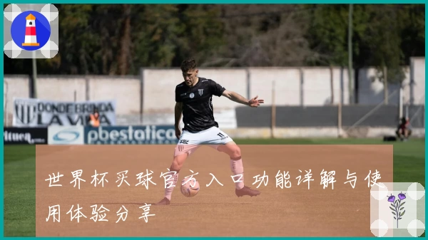 世界杯买球官方入口功能详解与使用体验分享