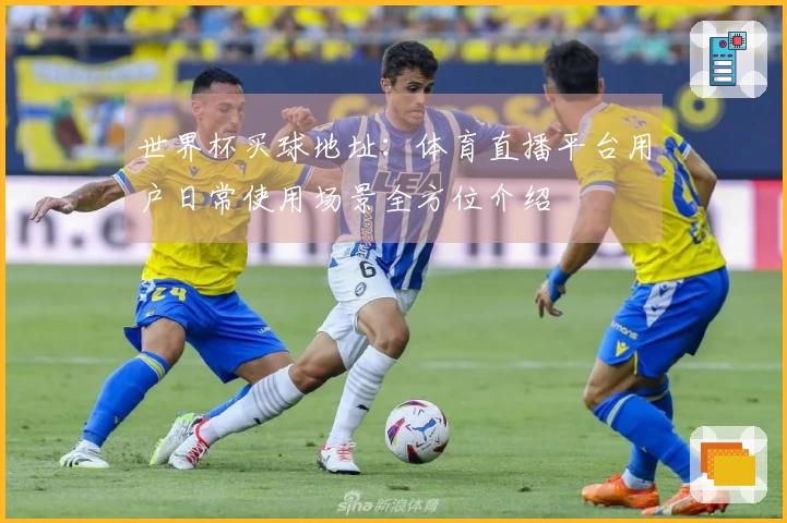 世界杯买球地址:体育直播平台用户日常使用场景全方位介绍