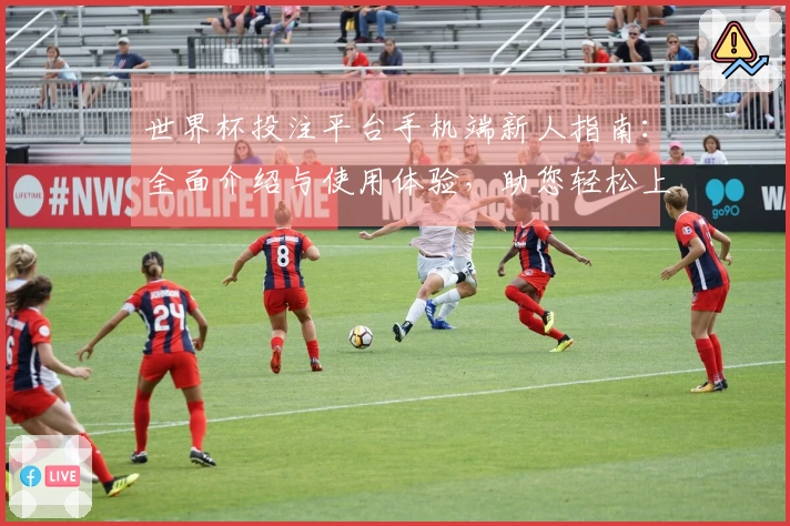 世界杯投注平台手机端新人指南：全面介绍与使用体验，助您轻松上手