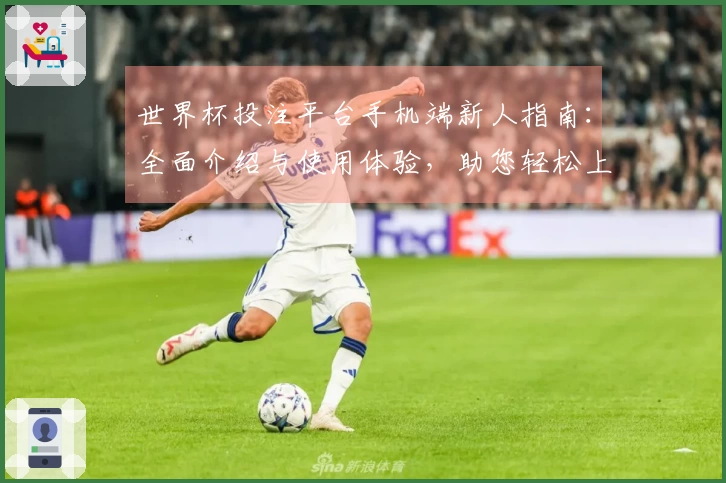 世界杯投注平台手机端新人指南:全面介绍与使用体验,助您轻松上手