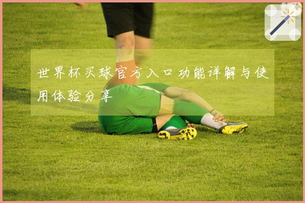 世界杯买球官方入口功能详解与使用体验分享