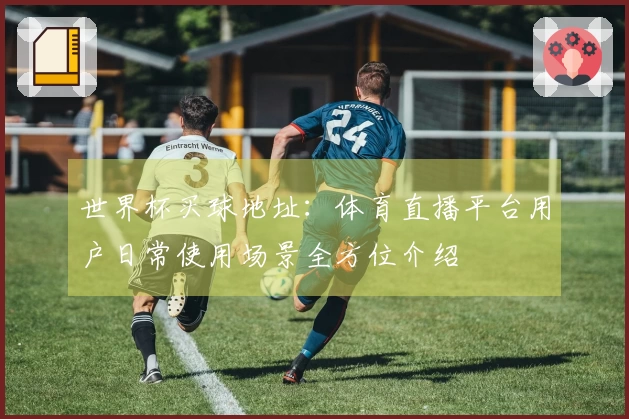 世界杯买球地址：体育直播平台用户日常使用场景全方位介绍