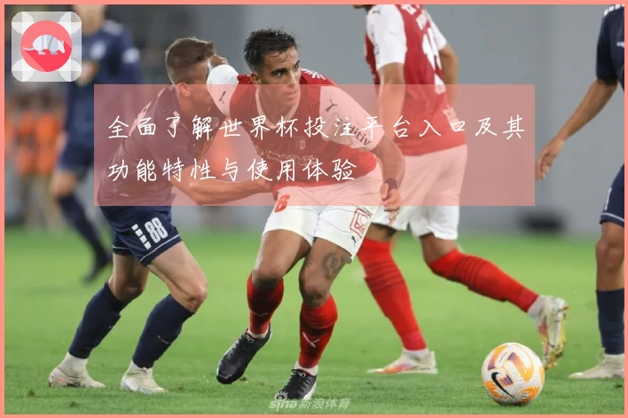 全面了解世界杯投注平台入口及其功能特性与使用体验