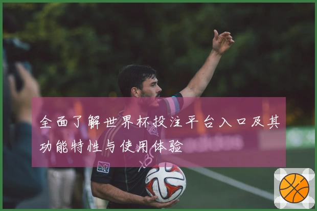 全面了解世界杯投注平台入口及其功能特性与使用体验