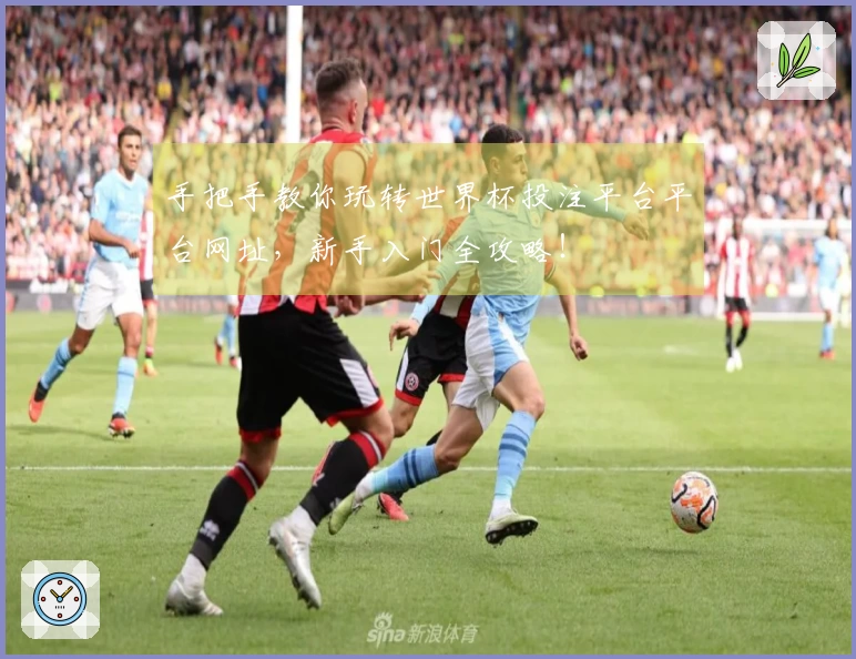 手把手教你玩转世界杯投注平台平台网址，新手入门全攻略！
